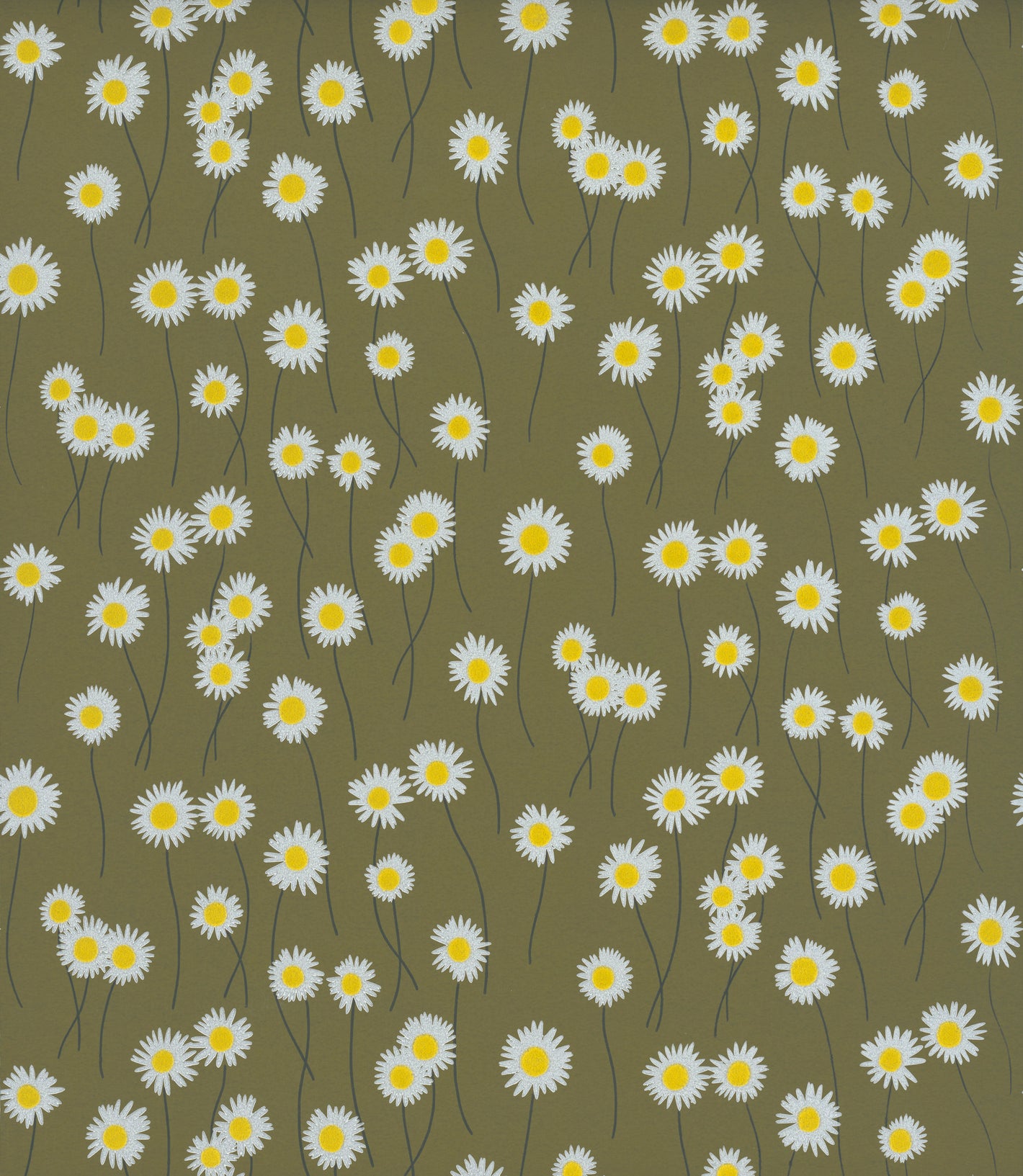 Moon Daisies - Olive Colour