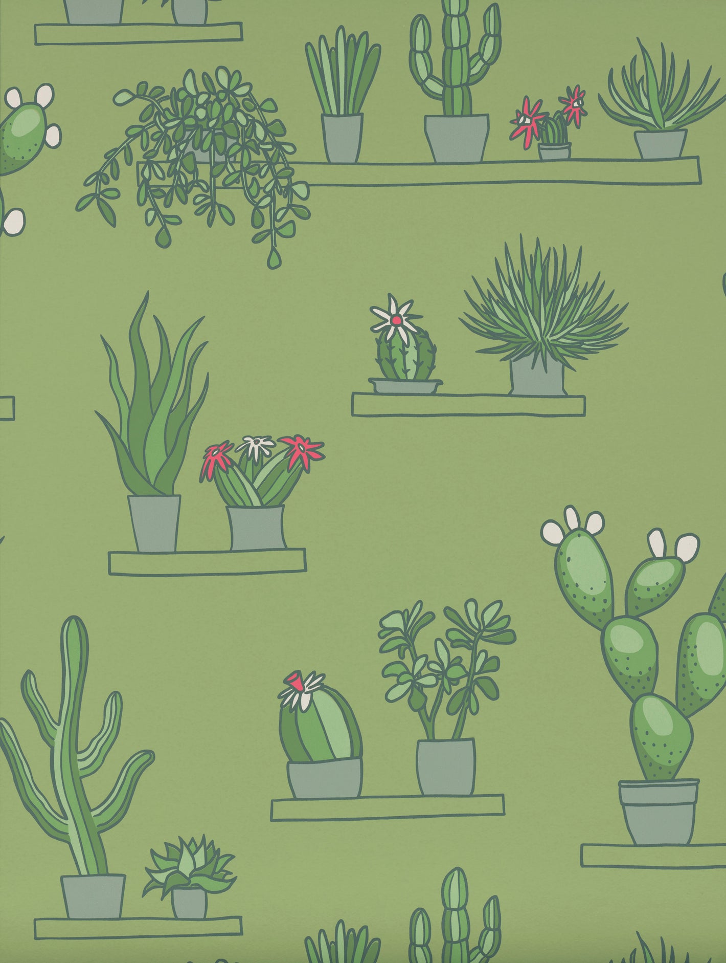 Mr Straw's Greenhouse - Garden