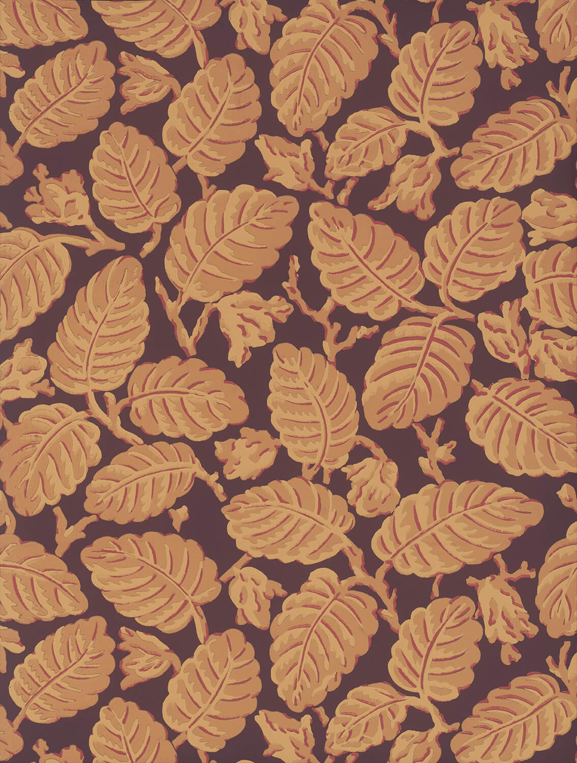 Beech Nut - Cordoba