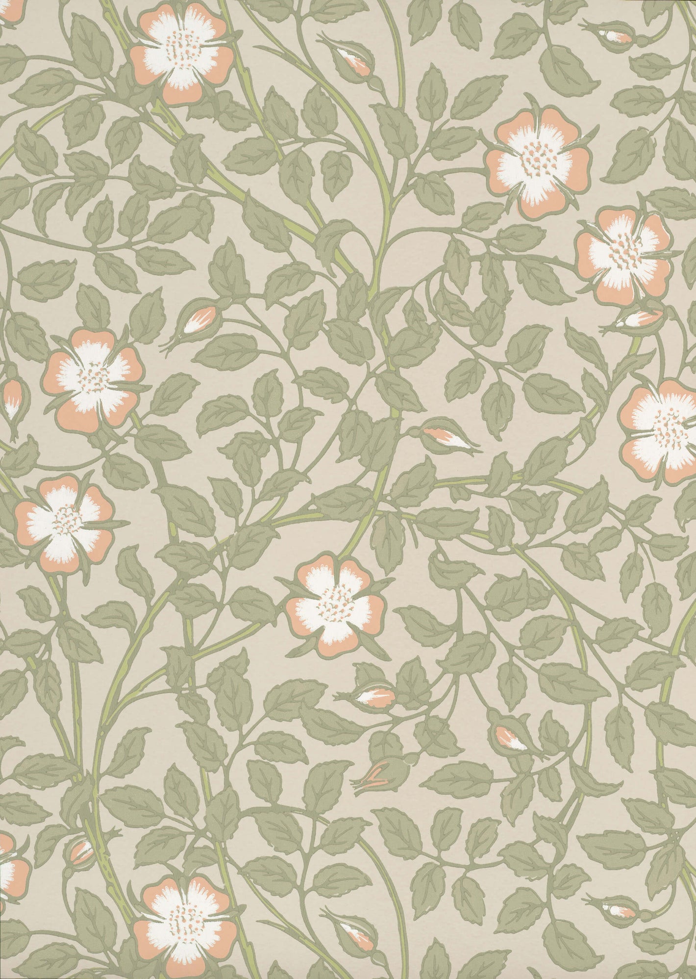 Briar Rose - Green Mist