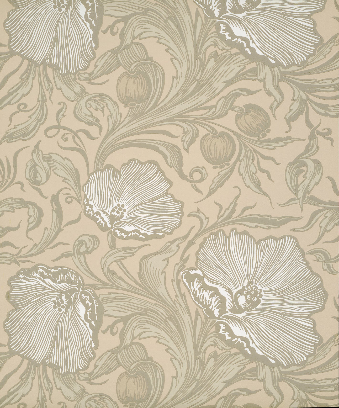 Poppy Trail - Portland Stone