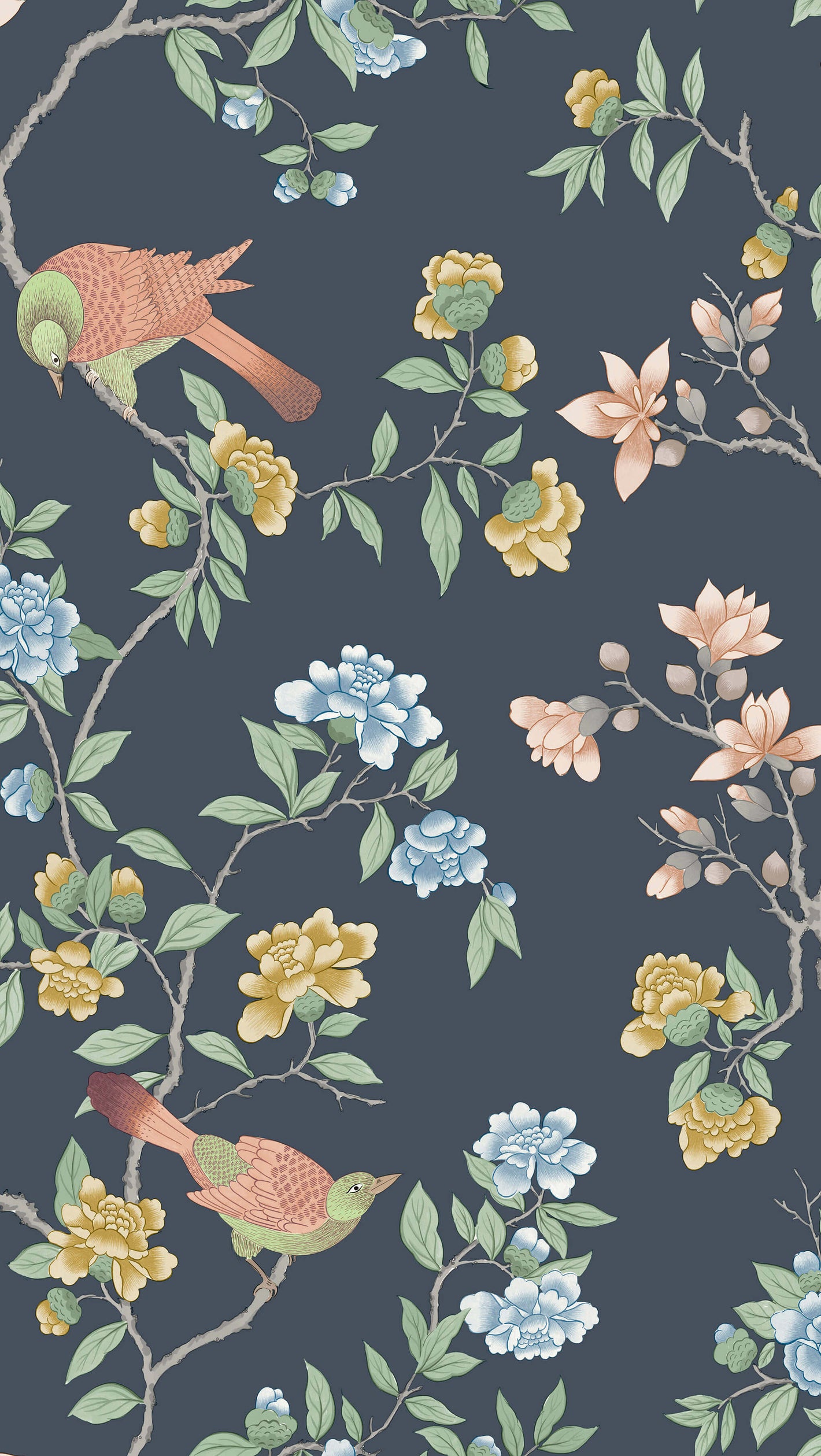 Aderyn - Hicks' Blue