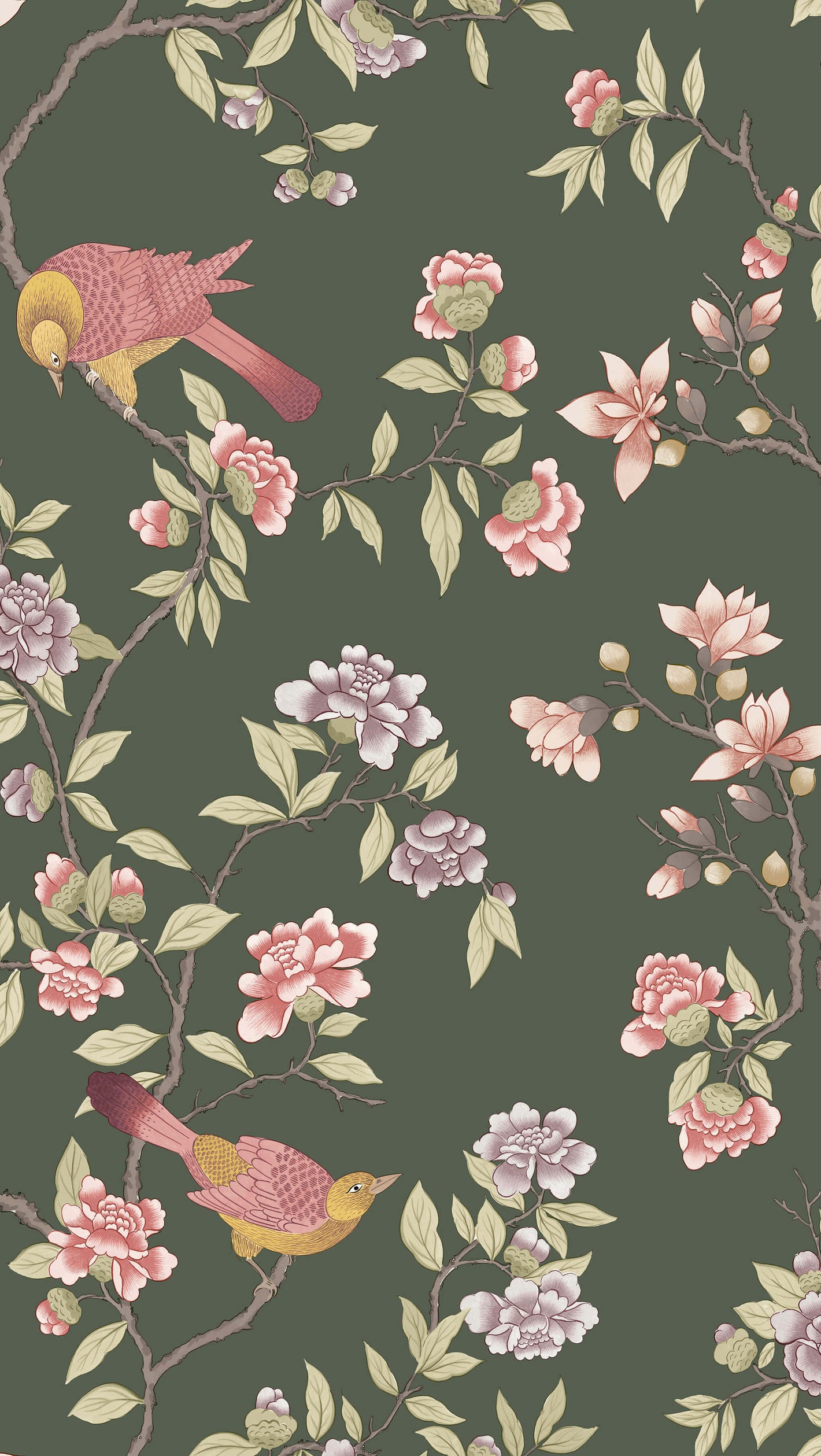 Aderyn - Olive Colour