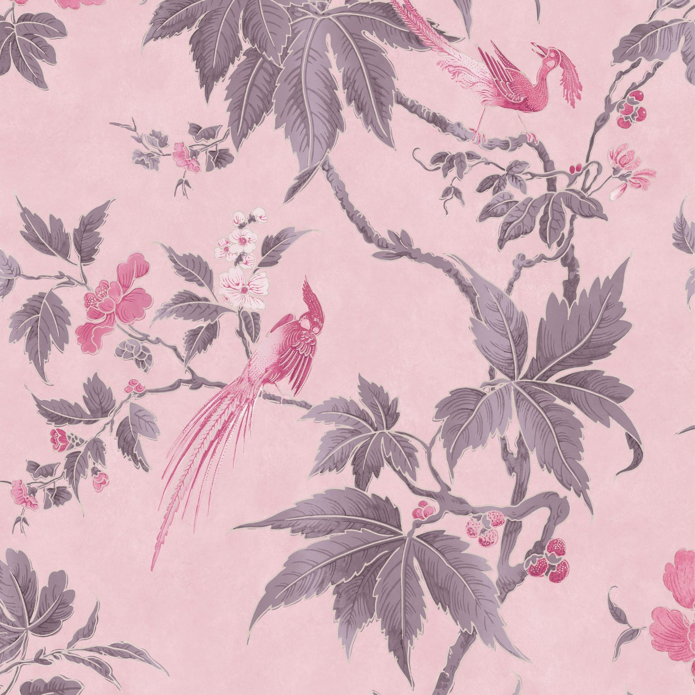 Paradise - Pink