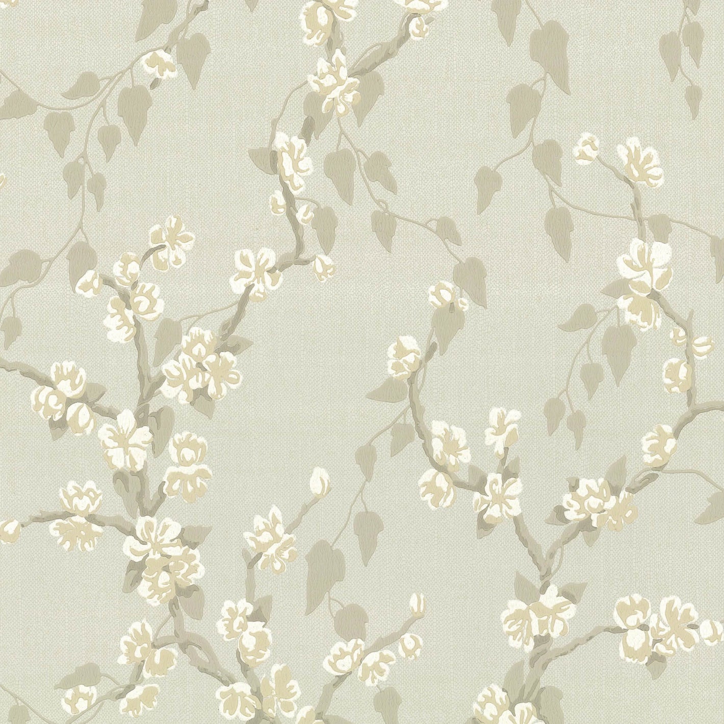 Sakura - Fawn
