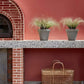 Tuscan Red™ 140