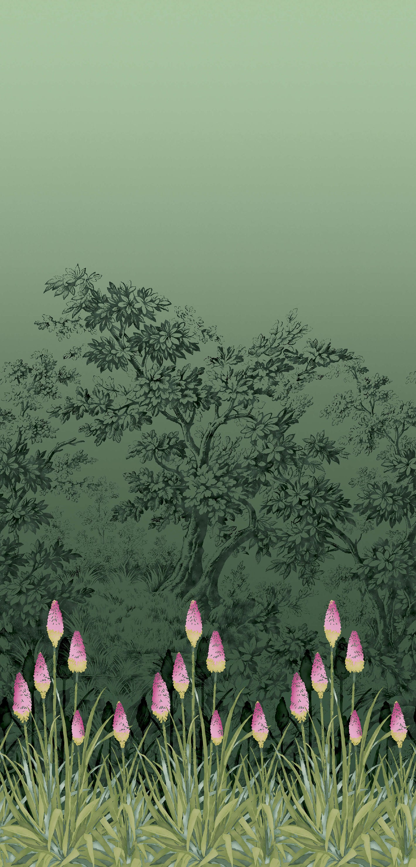 Upper Brook St. - Night Garden