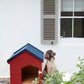 Wood Ash™ 229