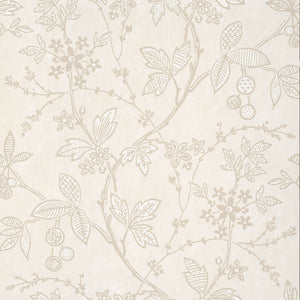 Wrest Trail - Lime Plaster