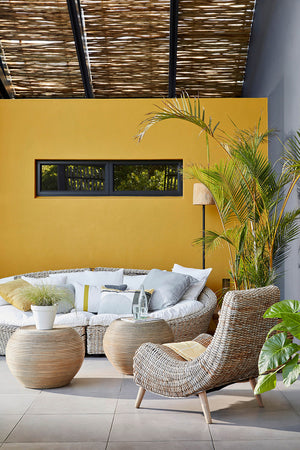 Yellow-Pink™ 46