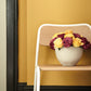 Yellow-Pink™ 46